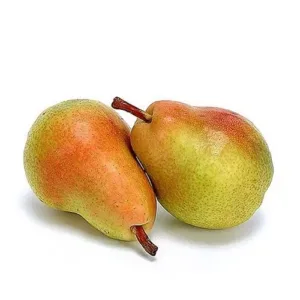 მსხალი კუნკულა 0,500კგ