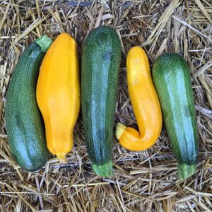 ცუკინი 1კგ