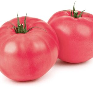 ვარდისფერი პომიდორი 1კგ