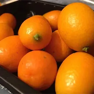 კუმკვატი 0.450 კგ