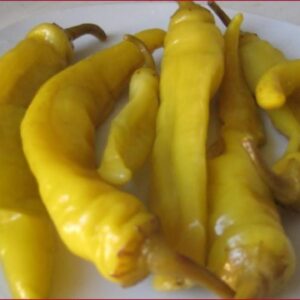 წიწაკის მწნილი